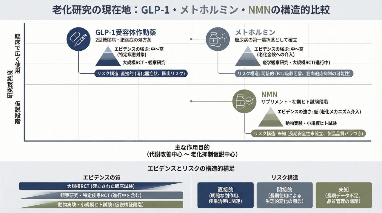 老化研究の現在地