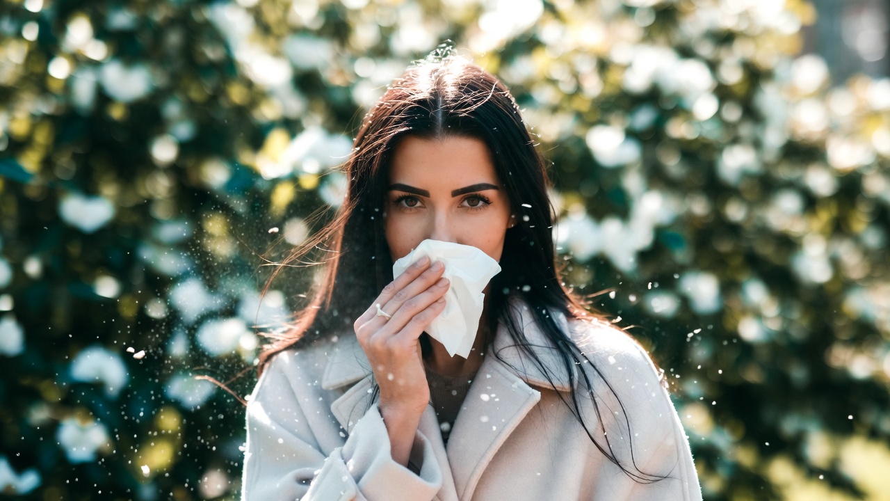 【ホンマでっかTV】花粉症が治った？Snow Man佐久間さんも実践！ツボ押し・ヨーグルト・L-92乳酸菌乳酸菌シロタ株の効果を徹底解説